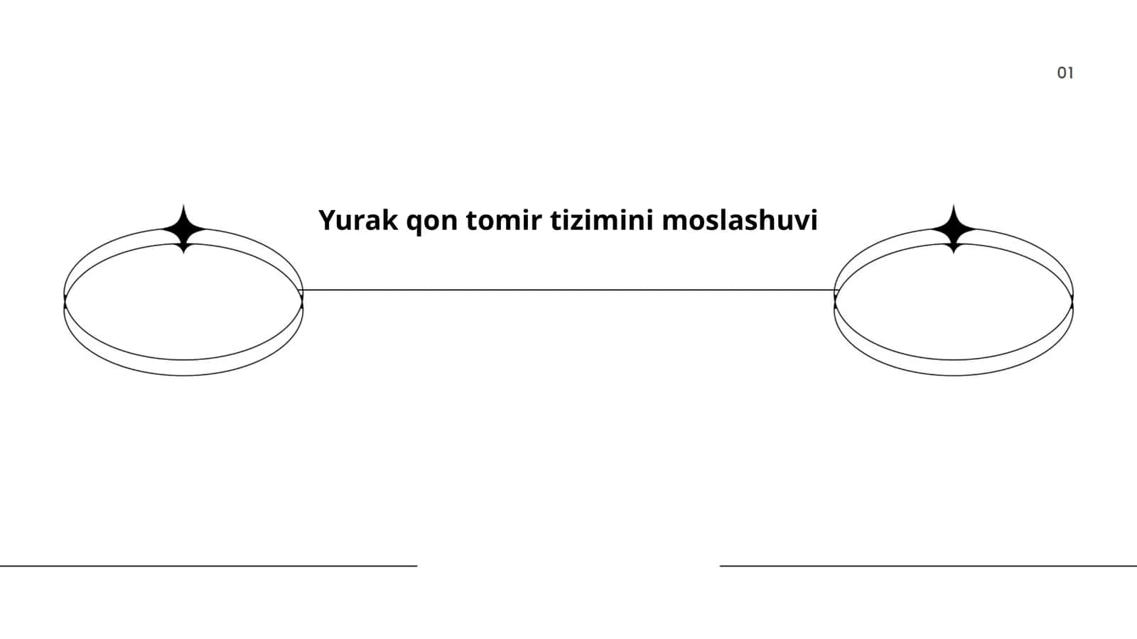 Yurak qon tomir tizimini moslashuvi