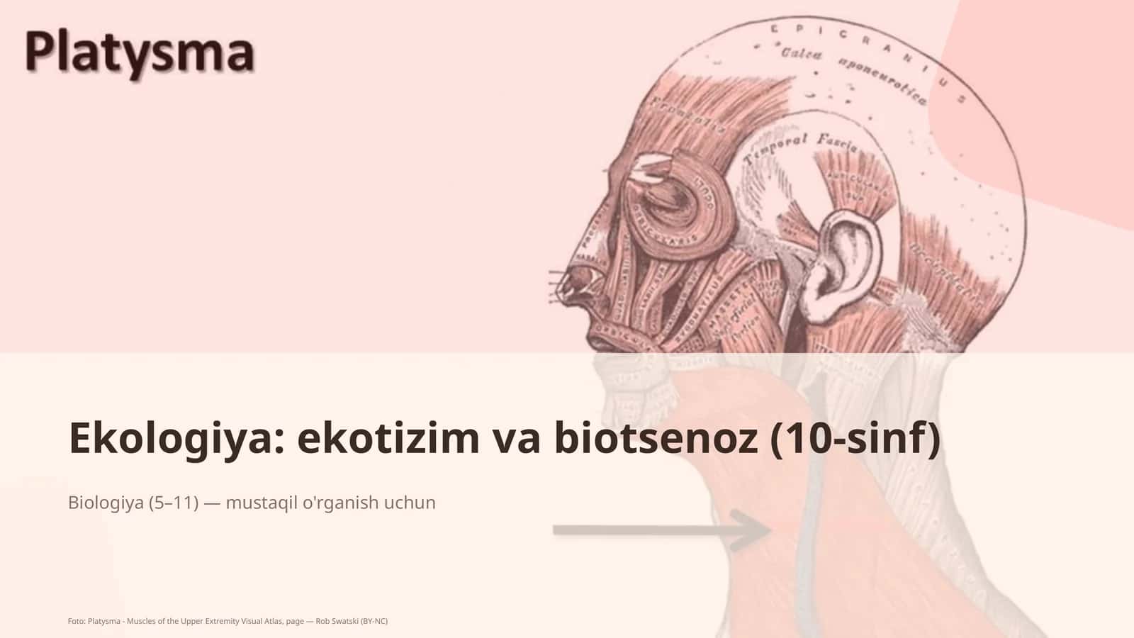 Ekologiya: ekotizim va biotsenoz (10-sinf)