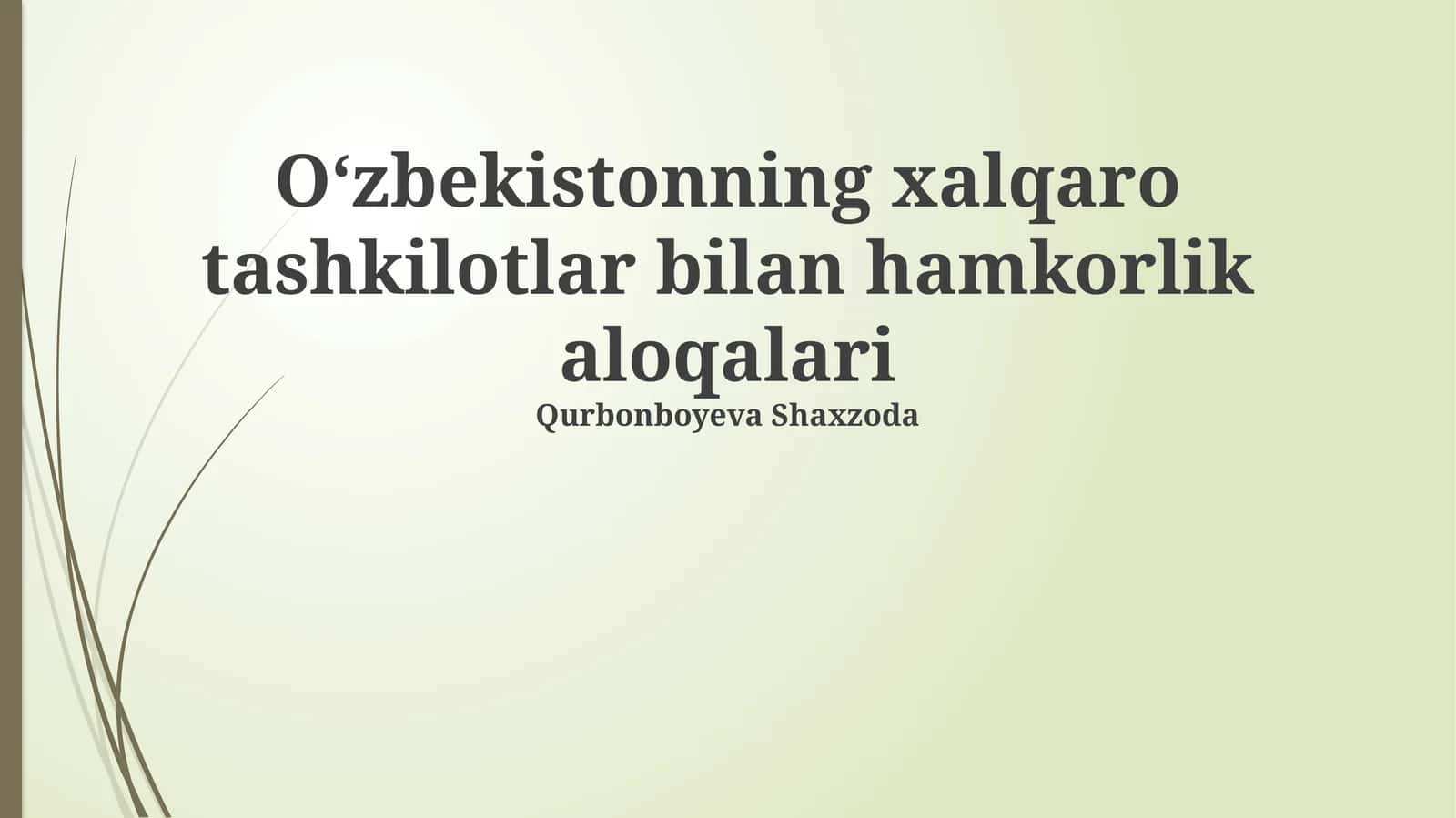 O‘zbekistonning xalqaro tashkilotlar bilan hamkorlik aloqalari