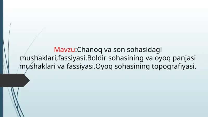 Chanoq va son sohasidagi mushaklari,fassiyasi.Boldir sohasining va oyoq panjasi mushaklari va fassiy