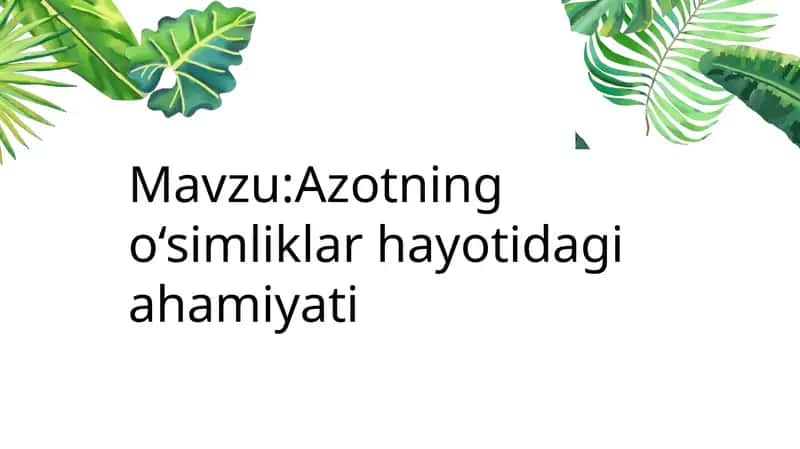 Azotning o‘simliklar hayotidagi ahamiyati