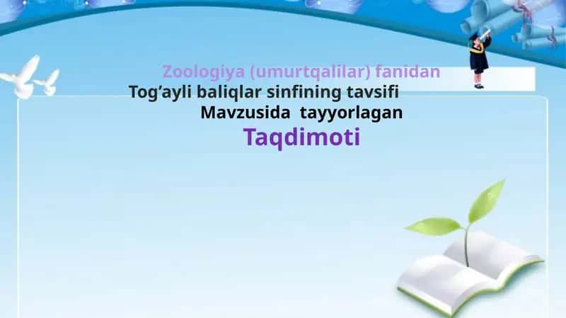 Tog’ayli baliqlar sinfining tavsifi