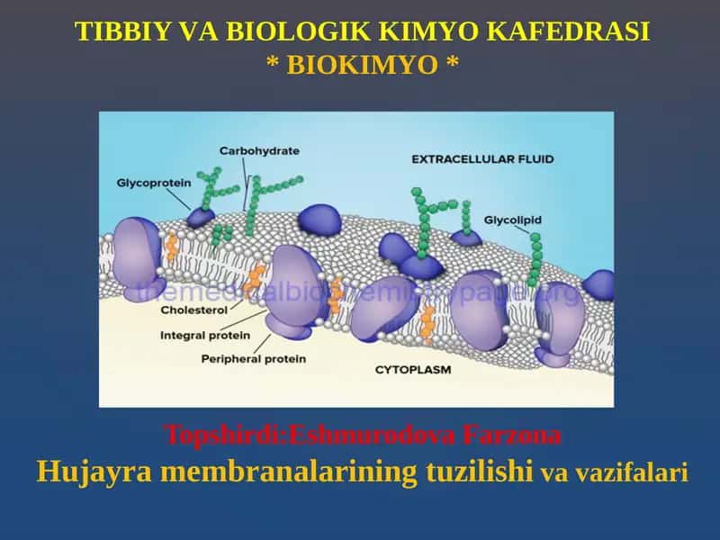 Biologik membran funksiyalari