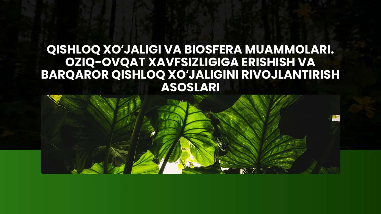 QISHLOQ XOʻJALIGIVA BIOSFERA MUAMMOLARI. OZIQ-OVQAT XAVFSIZLIGIGA ERISHISH VA BARQAROR QISHLOQ XOʻJALIGINI RIVOJLANTIRISH ASOSLARI