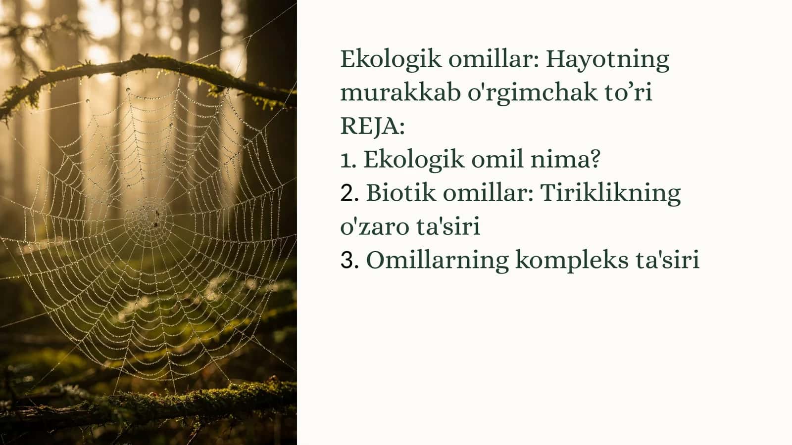 Ekologik omillar: Hayotning murakkabo'rgimchakto’ri