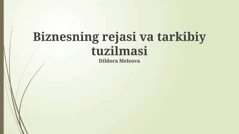 Biznesning rejasi va tarkibiy tuzilmasi