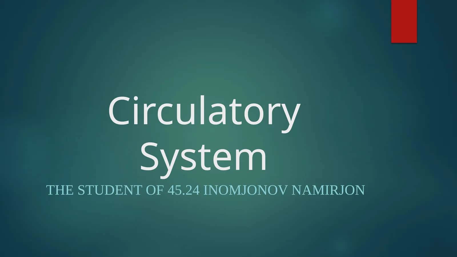 The Circulatory System: A Journey Through Your Body