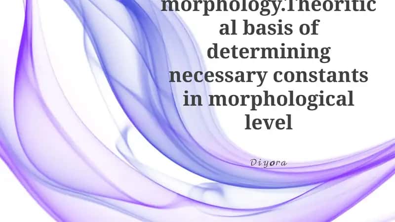 Morfologiya turlari: Infleksiyaviy va Derivativ