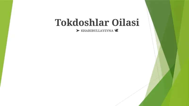 Tokdoshlar Oilasi