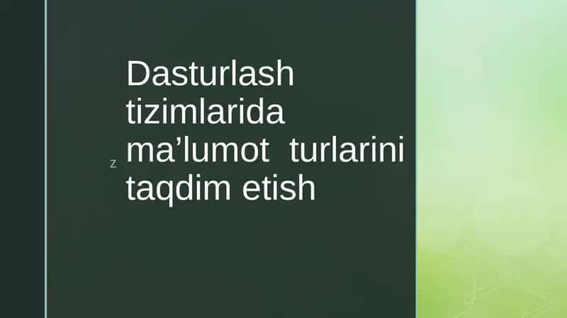 Dasturlash tizimlarida ma’lumot turlarini taqdim etish