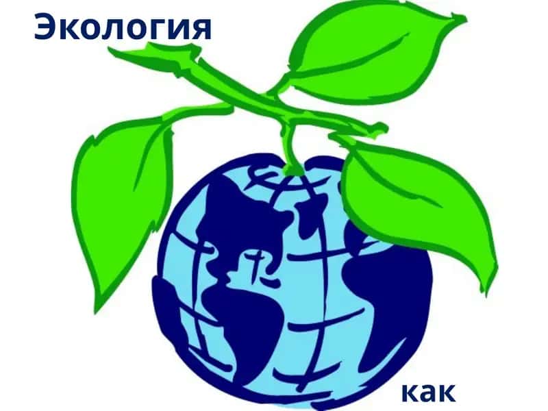 Экология