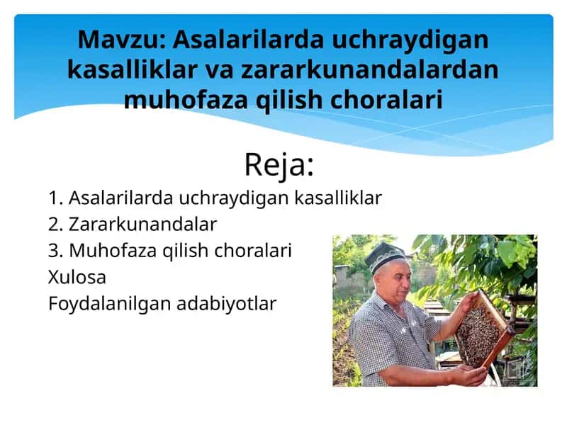 Asalarilarda uchraydigan kasalliklar va zararkunandalardan muhofaza qilish choralari