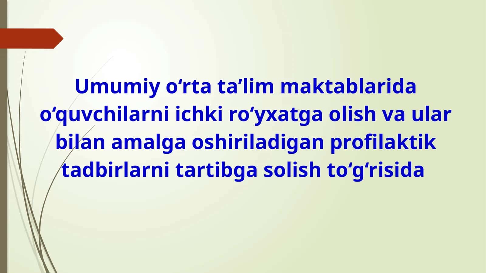 Umumiy o‘rta ta’lim maktablarida o‘quvchilarni ichki ro‘yxatga olish va ular bilan amalga oshiriladigan profilaktik tadbirlarni tartibga solish to‘g‘risida