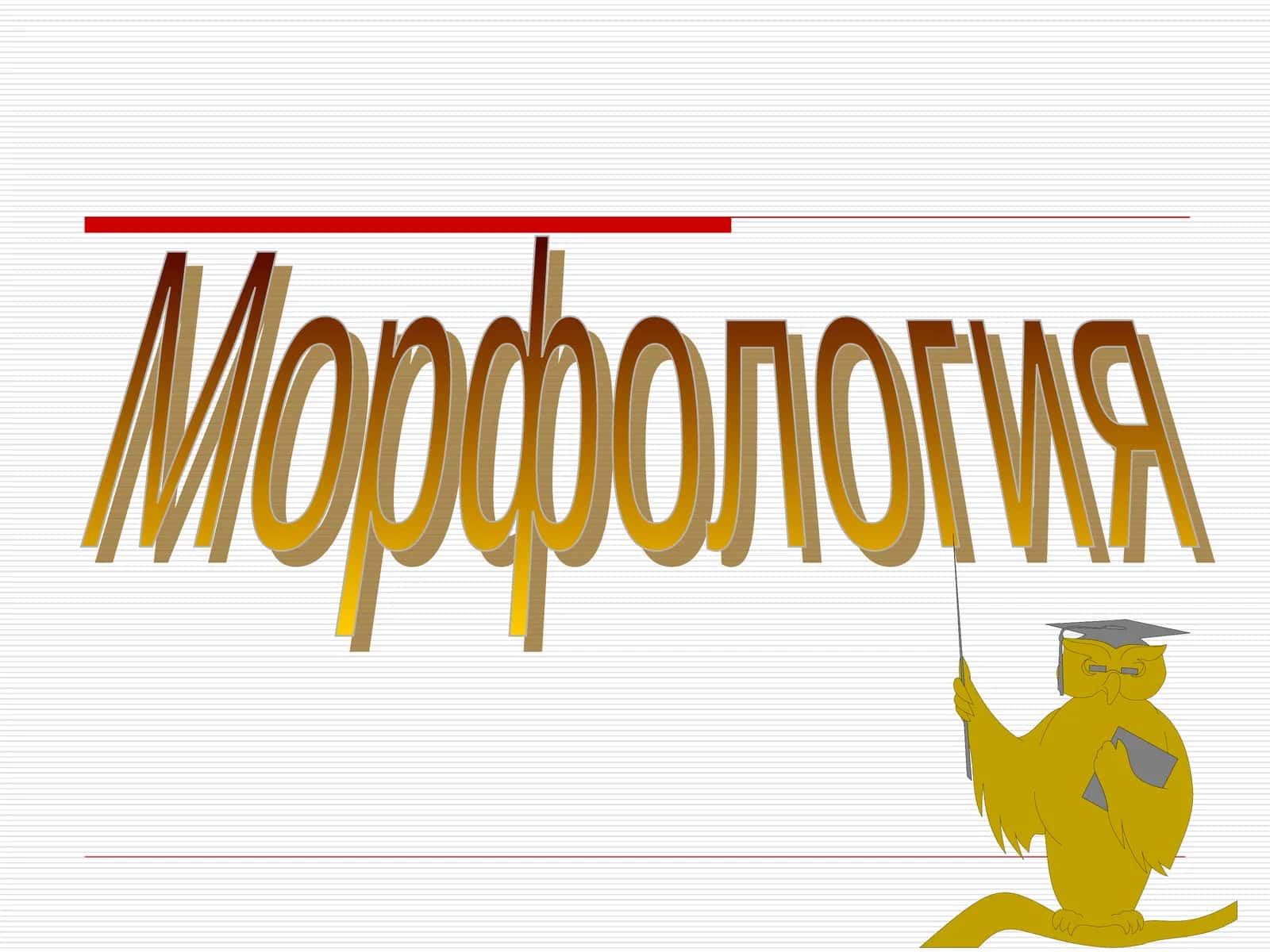 Морфология