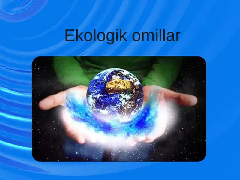 Ekologik omillar