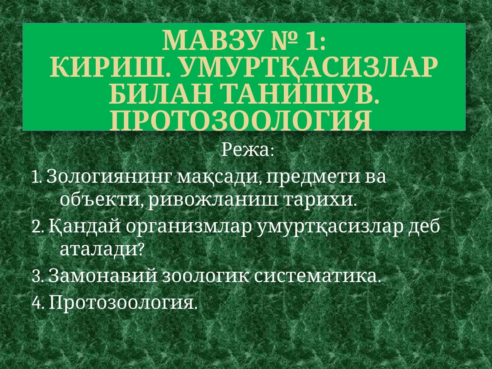 Зоология (умуртқасизлар)