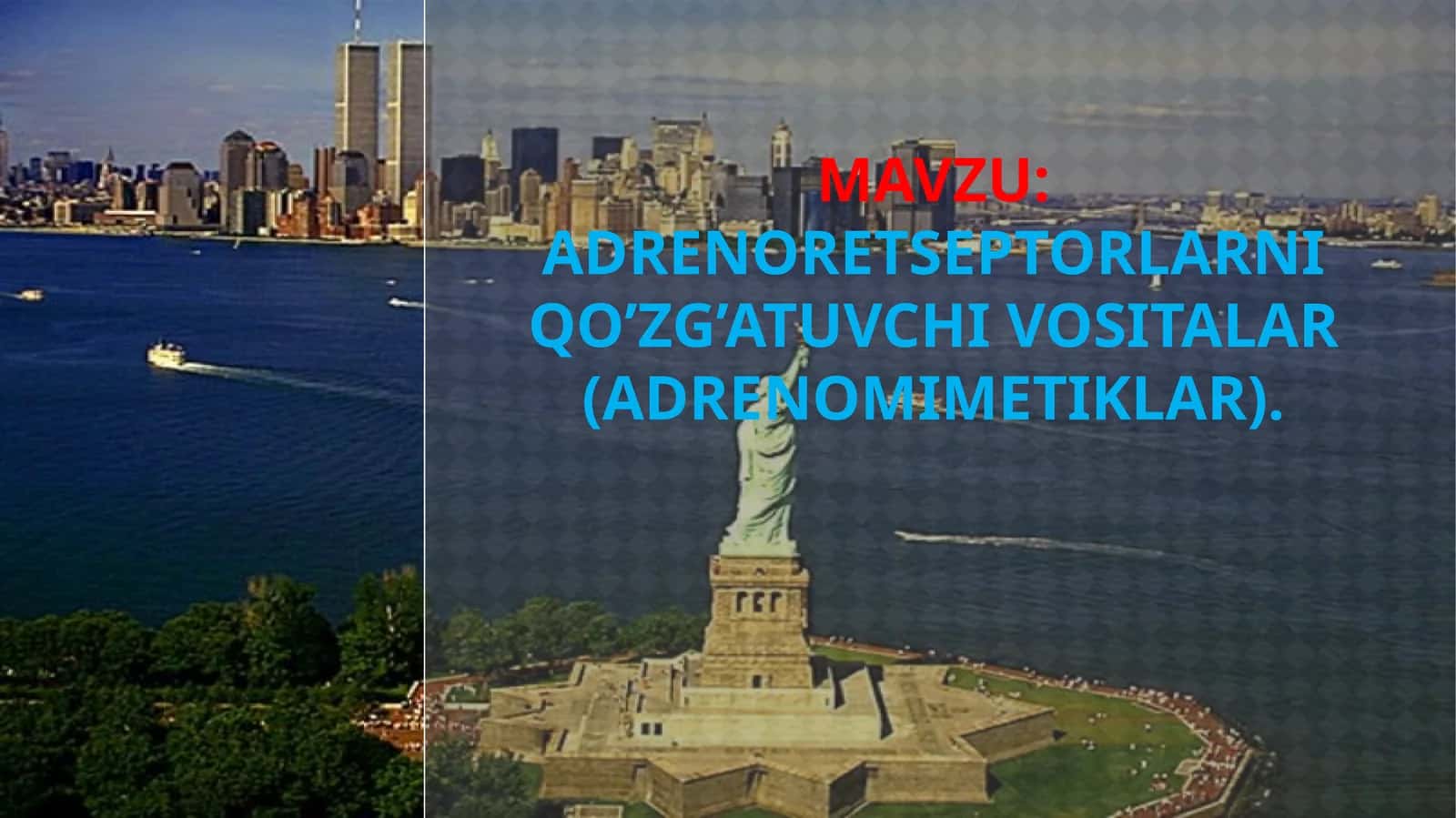 Adrenoretseptorlarni Qo’zg’atuvchi Vositalar (Adrenomimetiklar)