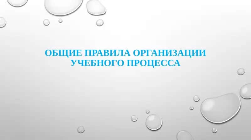Общие правила организации учебного процесса