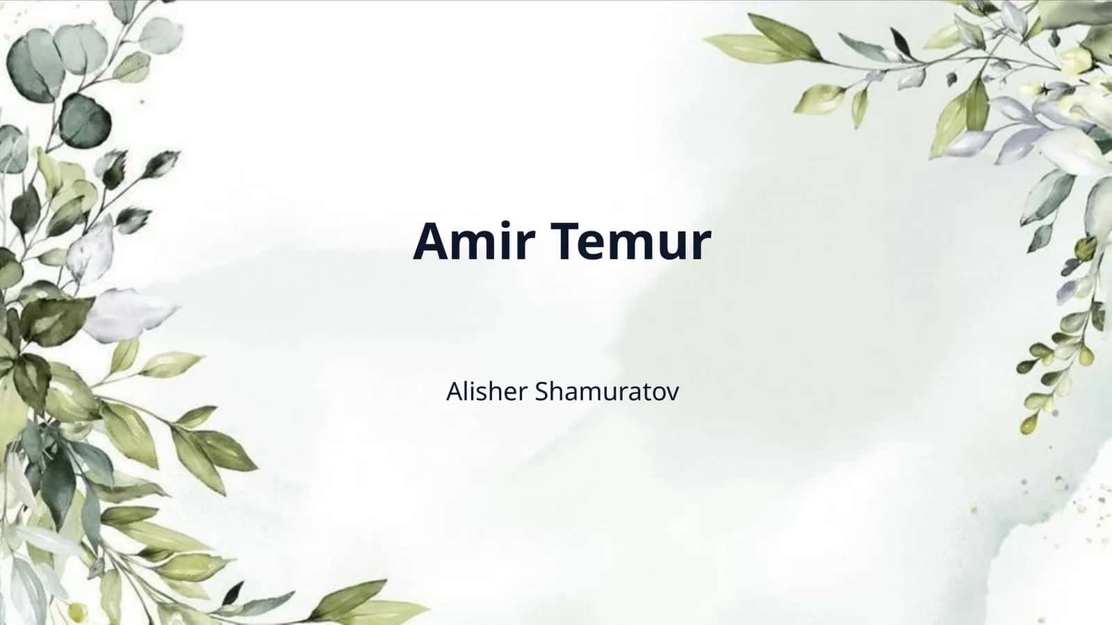 Amir Temur