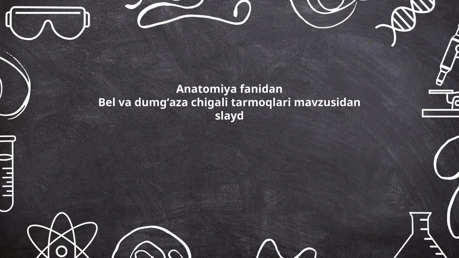 Bel va dumgʻaza chigali tarmoqlari mavzusidan slayd
