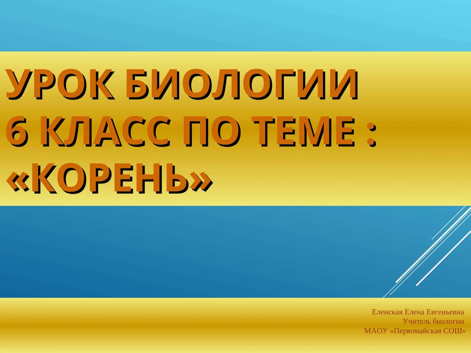 Урок биологии 6 класс по теме : «Корень»