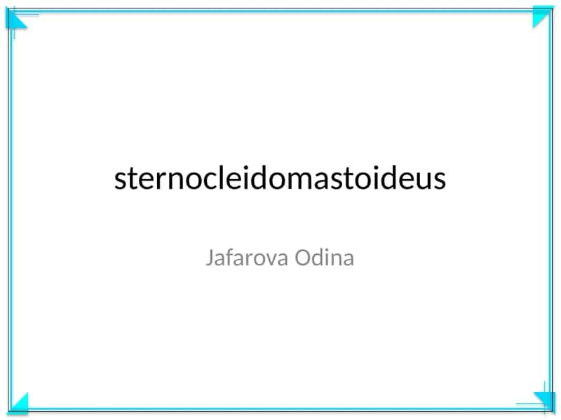 sternocleidomastoideus