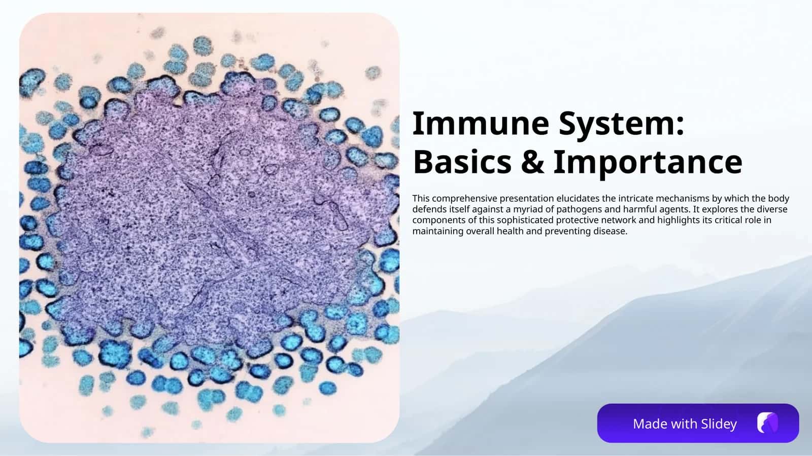 Immun system - Immunitet tizimi (English)