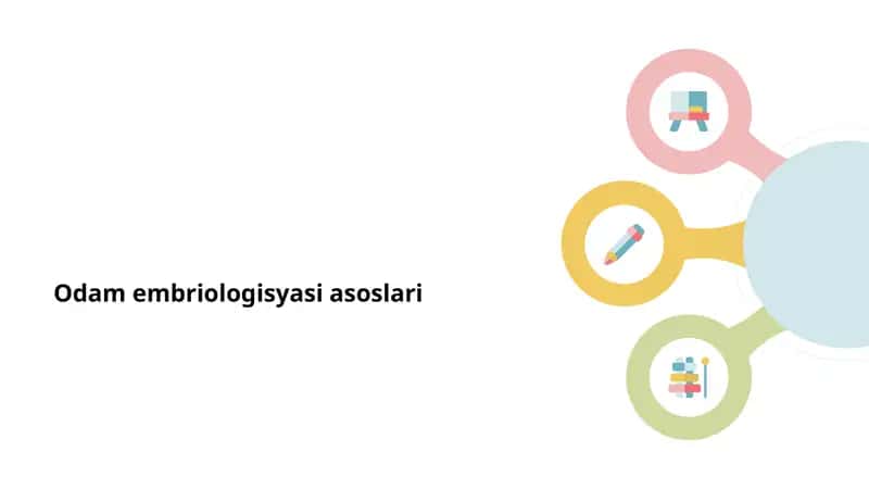 Odamlar embriologiyasi asoslari