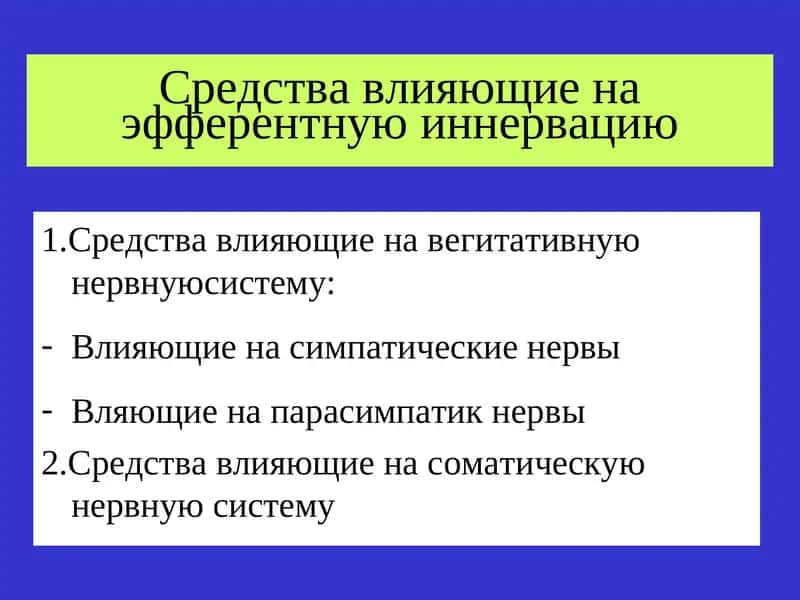 Средства влияющие на эфферентнуюиннервацию