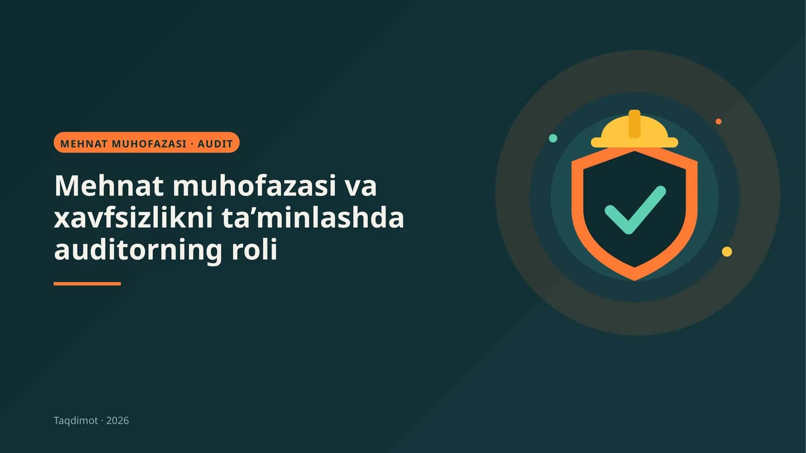 MEHNAT MUHOFAZASI · AUDIT