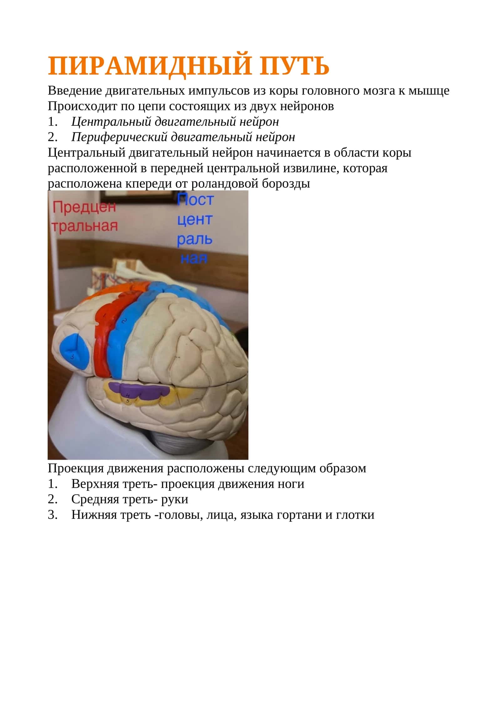 Пирамидный путь