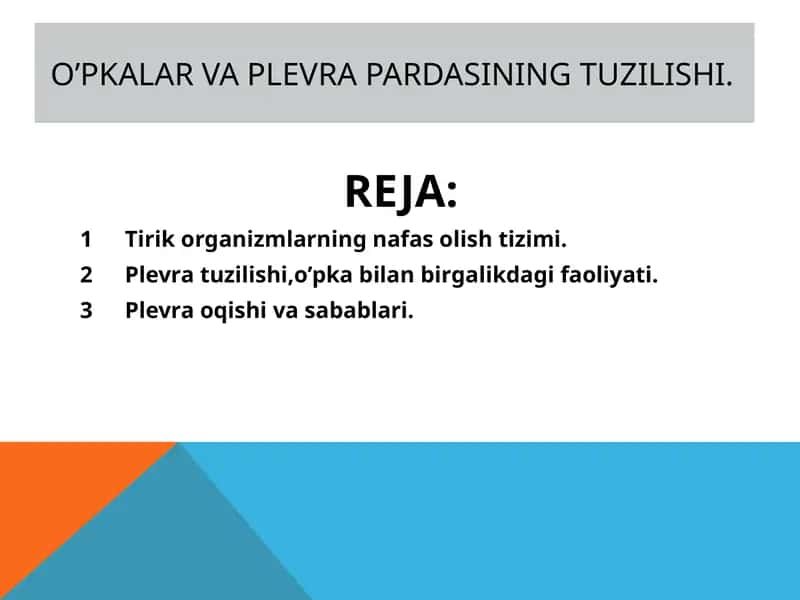 O’pkalar va plevra pardasining tuzilishi