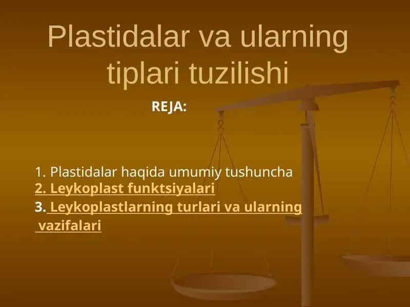 Plastidalar va ularning tiplari tuzilishi