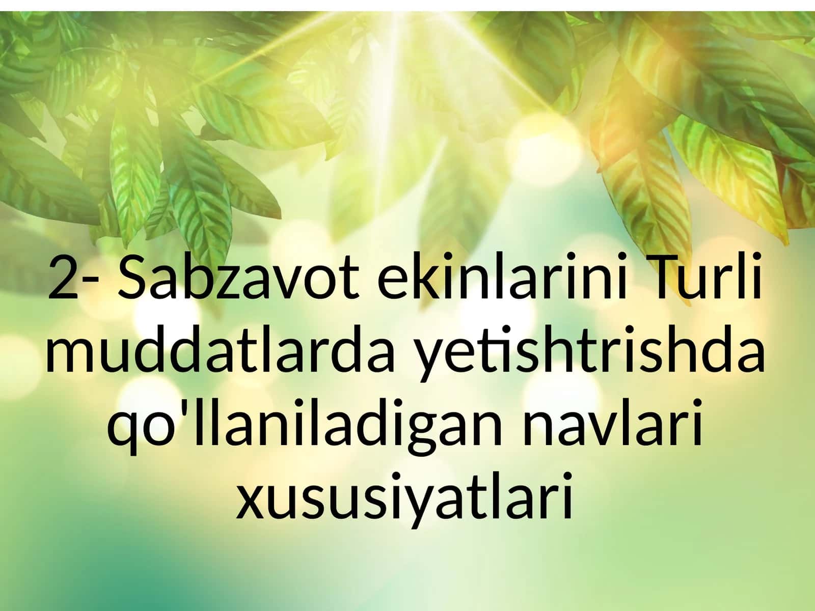 Sabzavot ekinlarini Turli muddatlarda yetishtrishdaqo'llaniladigan navlari xususiyatlari