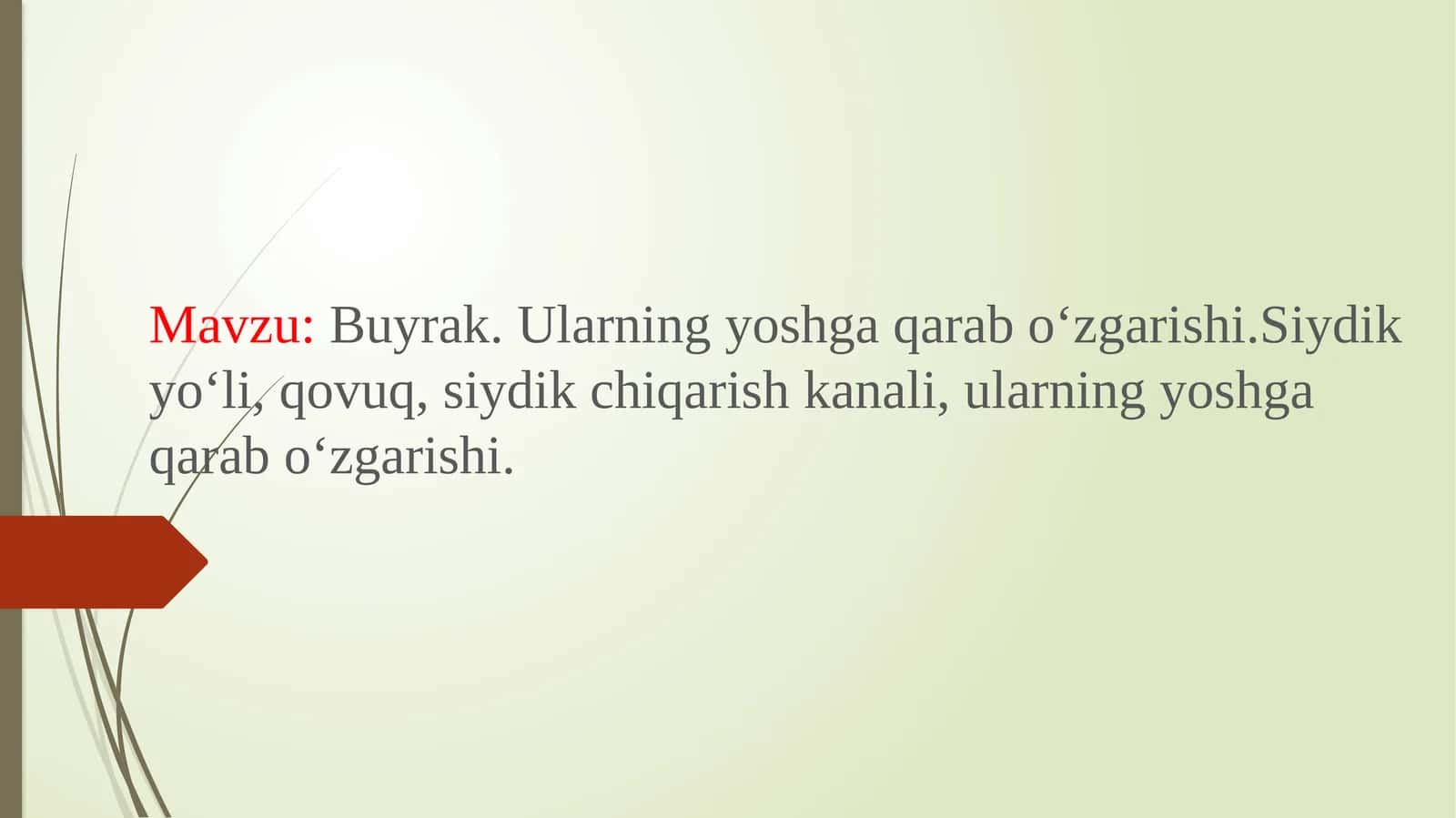 Buyrak.Ularning yoshga qarab o‘zgarishi. Siydik yo‘li, qovuq, siydik chiqarish kanali, ularning yoshga qarab o‘zgarishi