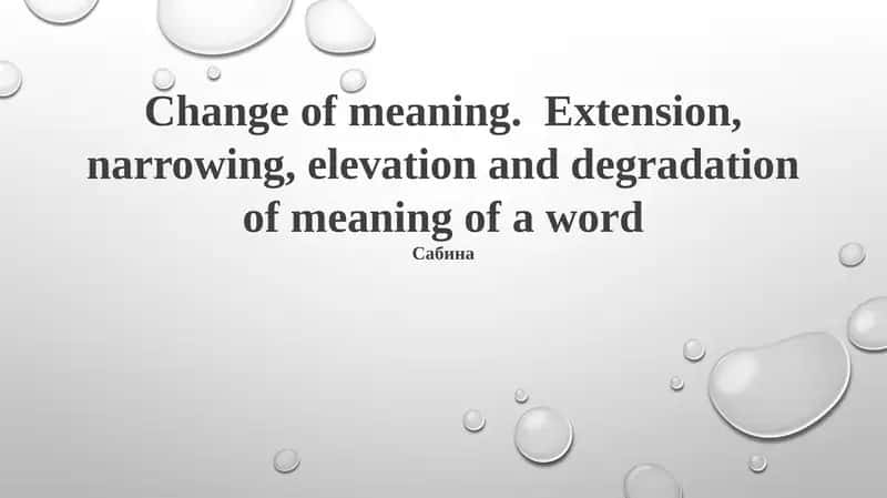 Understanding Semantic Change: Types and Mechanisms
