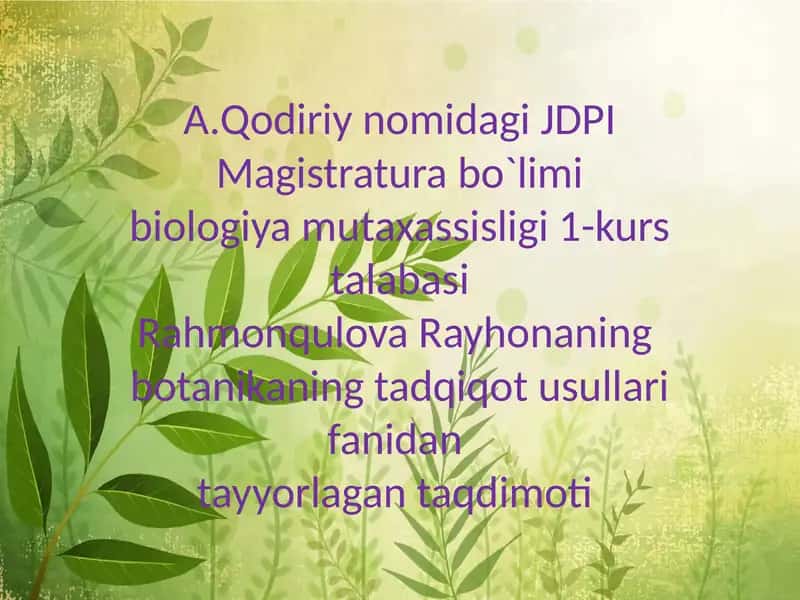 Oʻsimliklar morfolojiyasi