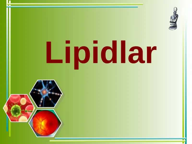 Lipidlar