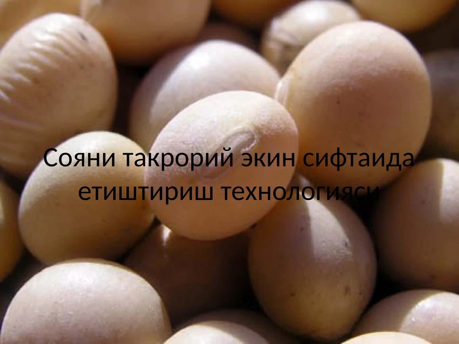 Сояни такрорий экин сифтаида етиштириш технологияси