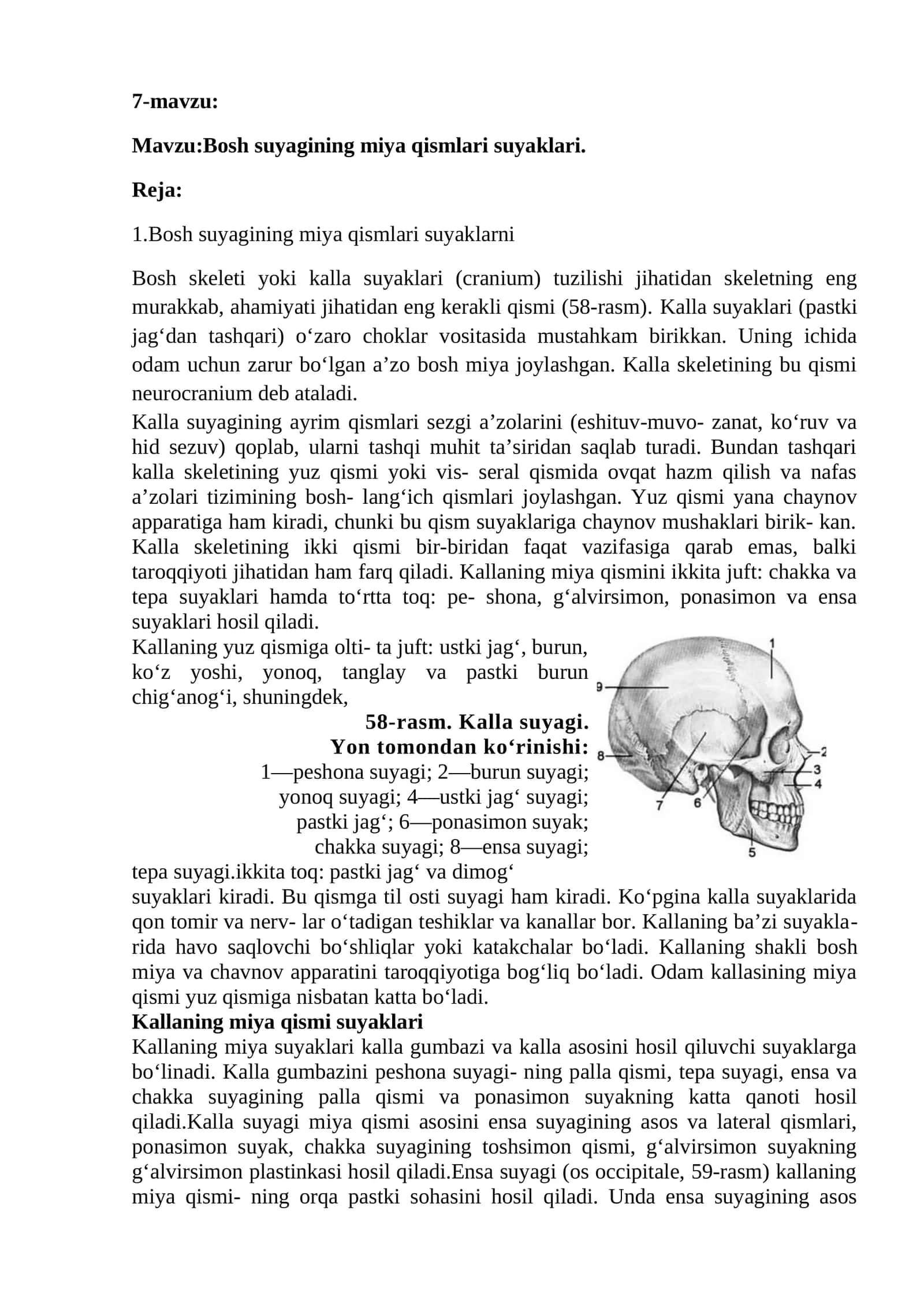 Bosh suyagining miya qismlari suyaklari