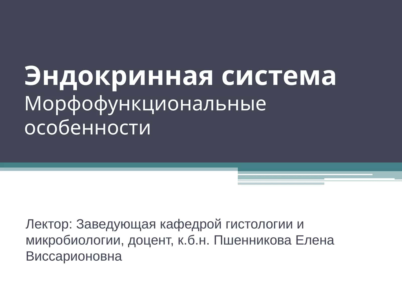 Эндокринная система Морфофункциональные особенности