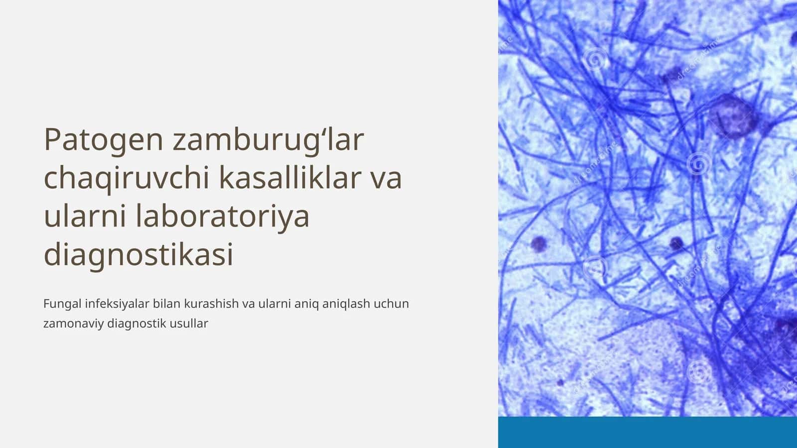 Patogen zamburugʻlar chaqiruvchi kasalliklar va ularni laboratoriya diagnostikasi