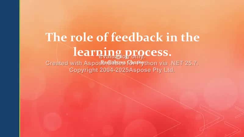 The role of feedback in the learning process