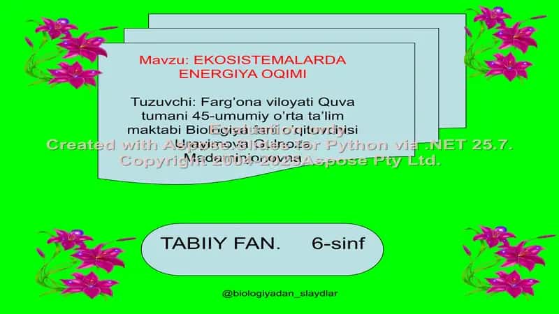 EKOSISTEMALARDA ENERGIYA OQIMI