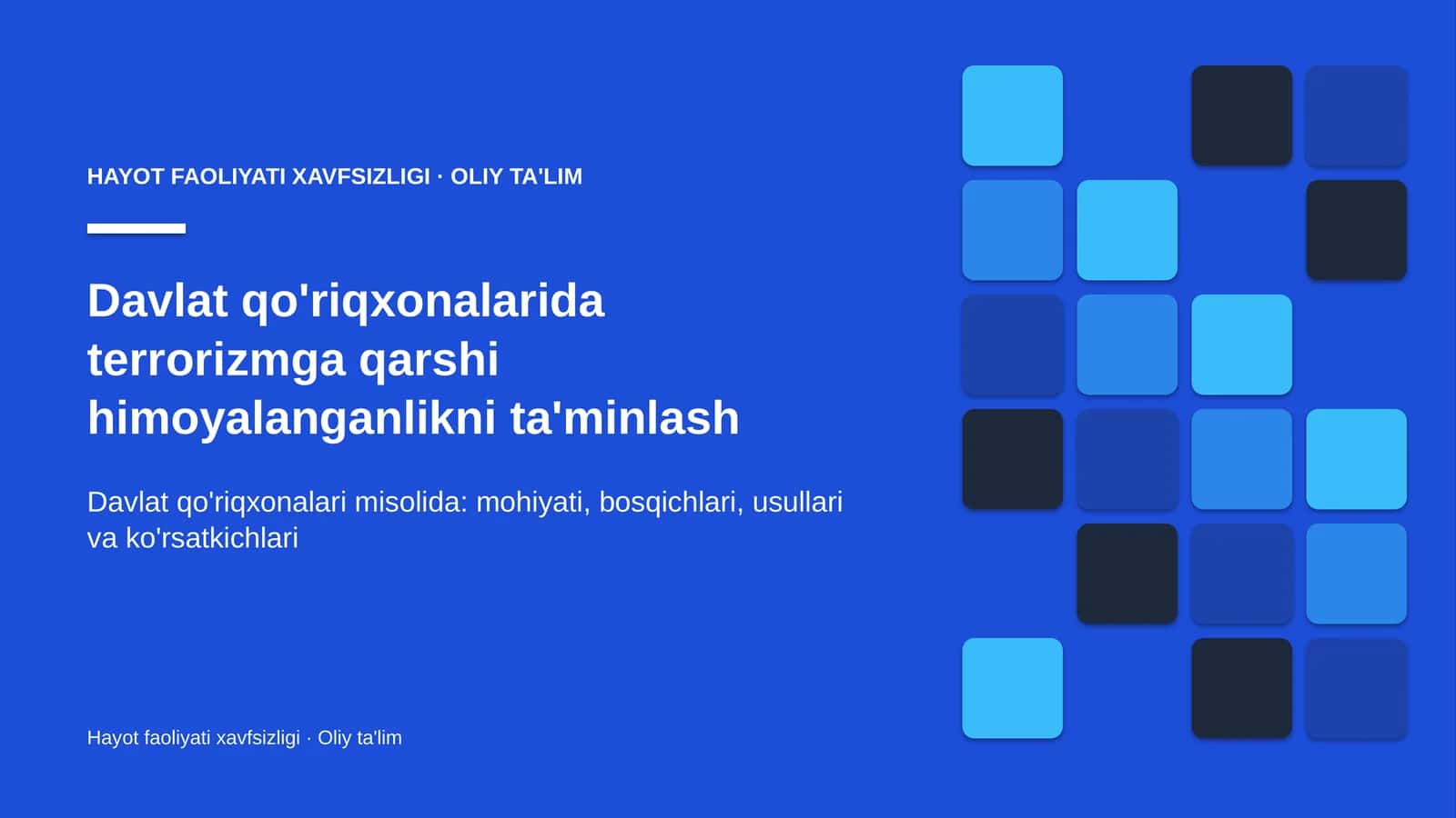 Hayot faoliyati xavfsizligi · Oliy ta'lim
