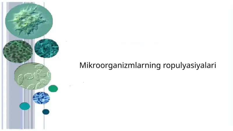 Mikroorganizmlarning ropulyasiyalari