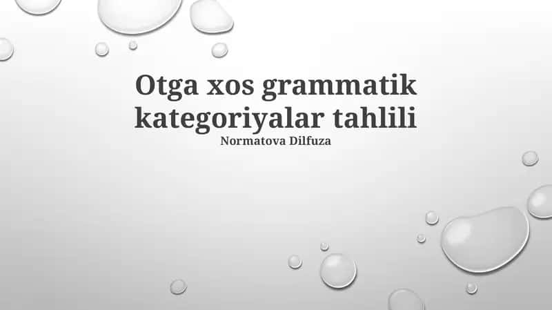 Otga Xos Grammatik Toifalarni Tahlili