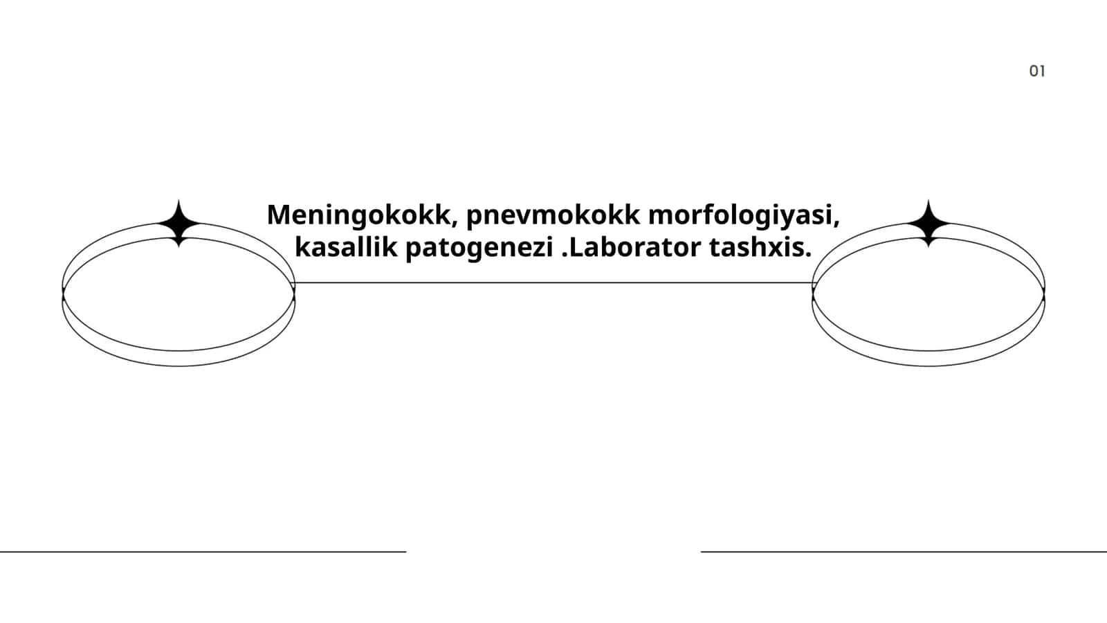 Meningokokk va pnevmokokk morfologiyasi va kasallik patogenezi