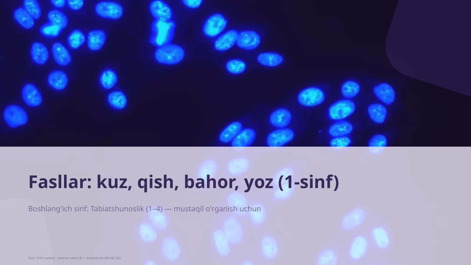 Tabiatshunoslik Dars Rejasi