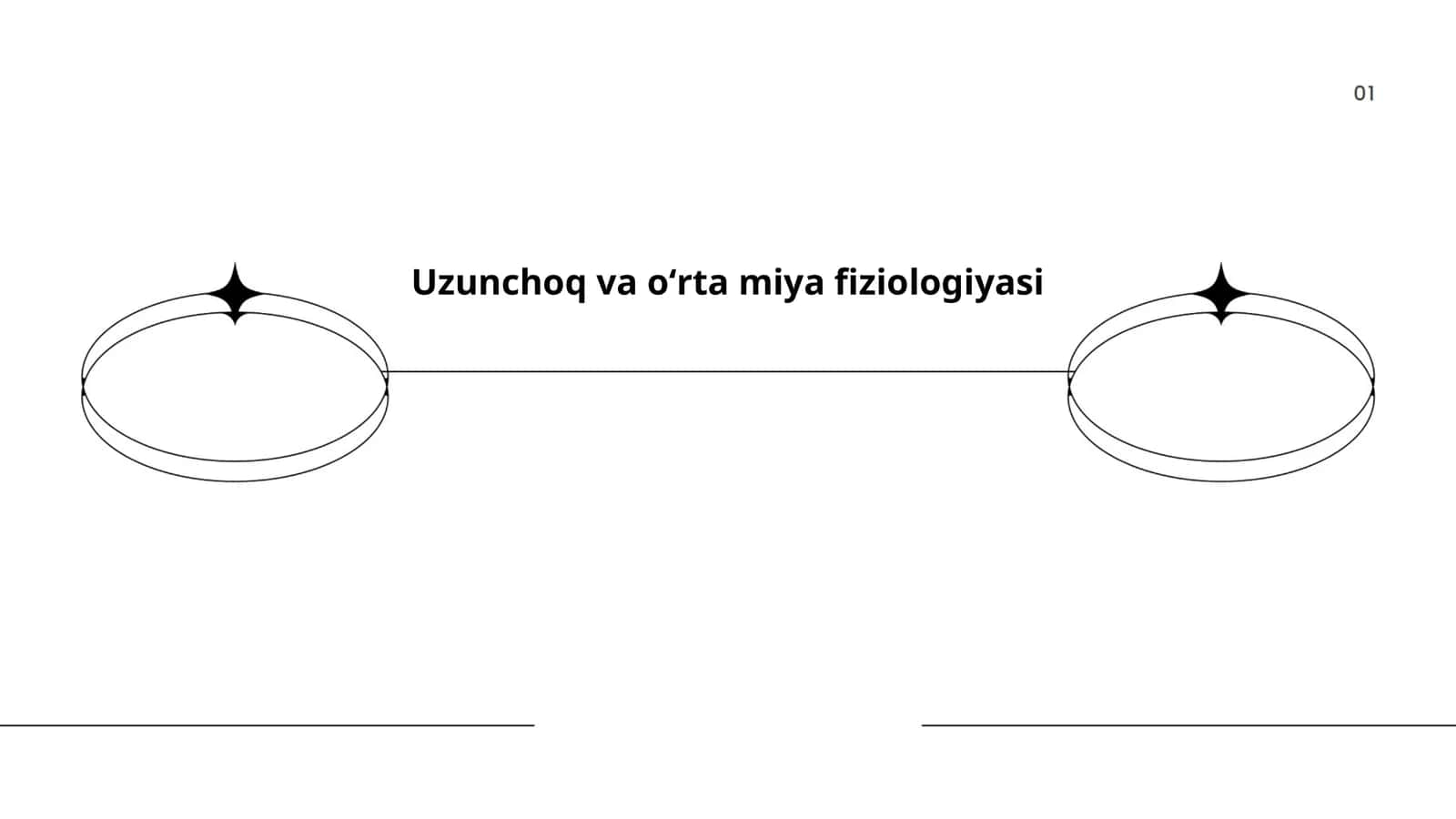 Uzunchoq va oʻrta miya fiziologiyasi